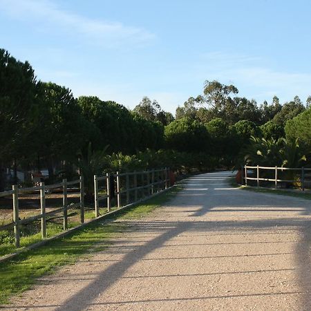 Monte Macario Alojamento Local Coruche Εξωτερικό φωτογραφία