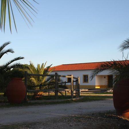 Monte Macario Alojamento Local Coruche Εξωτερικό φωτογραφία