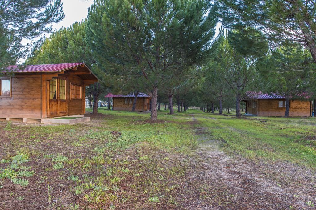 Monte Macario Alojamento Local Coruche Εξωτερικό φωτογραφία