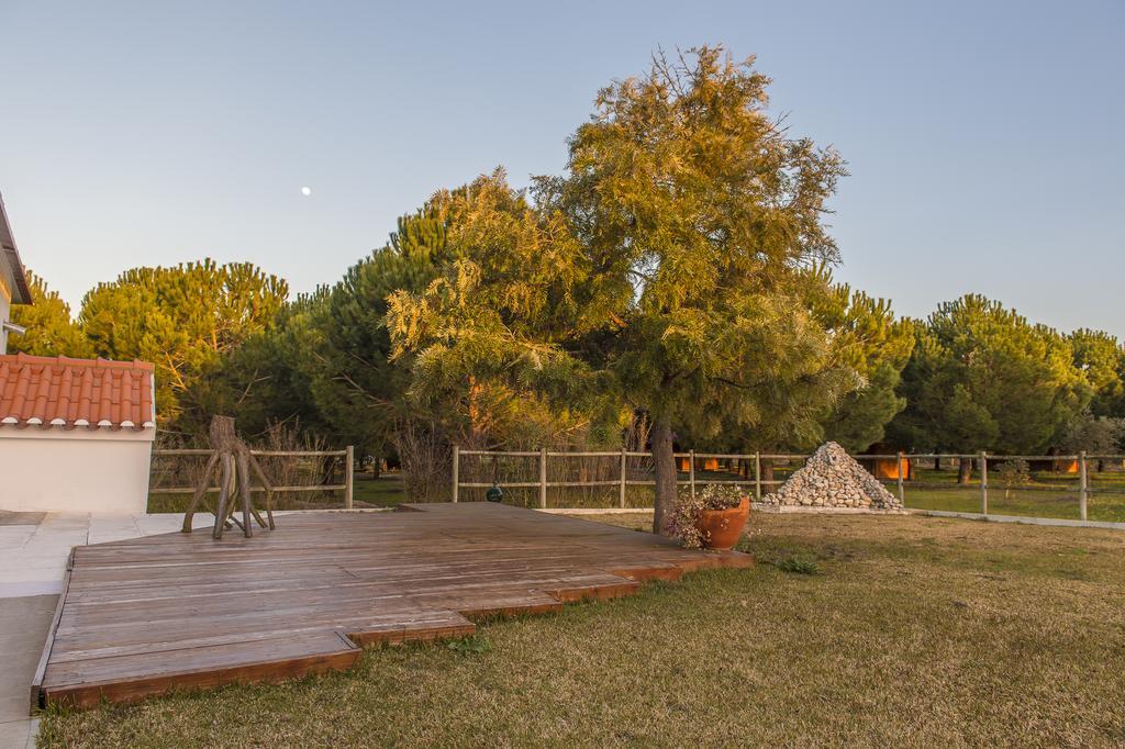 Monte Macario Alojamento Local Coruche Εξωτερικό φωτογραφία