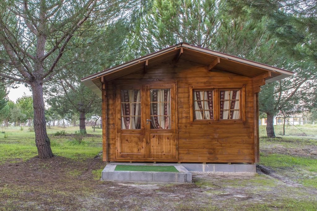 Monte Macario Alojamento Local Coruche Εξωτερικό φωτογραφία