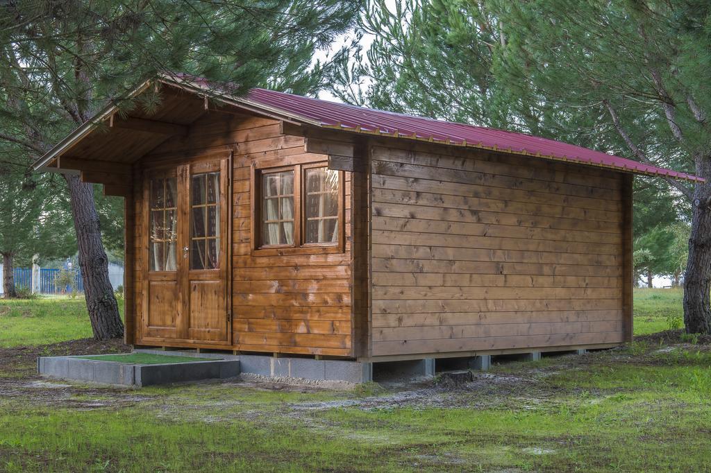 Monte Macario Alojamento Local Coruche Εξωτερικό φωτογραφία