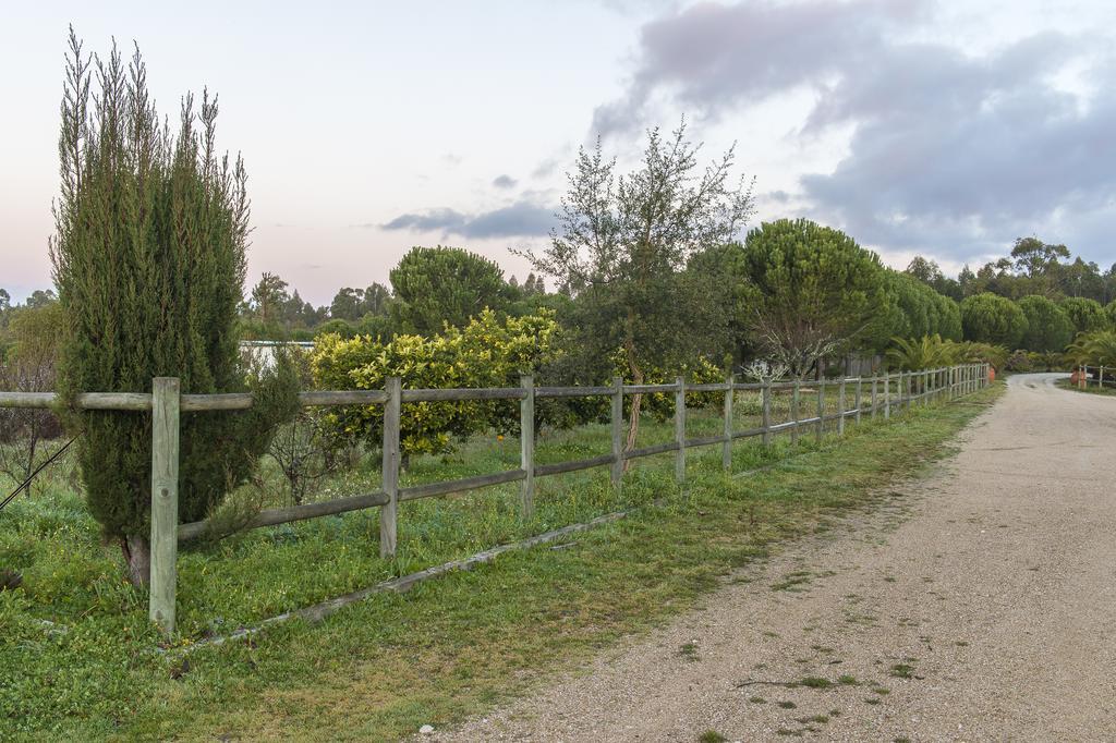 Monte Macario Alojamento Local Coruche Εξωτερικό φωτογραφία