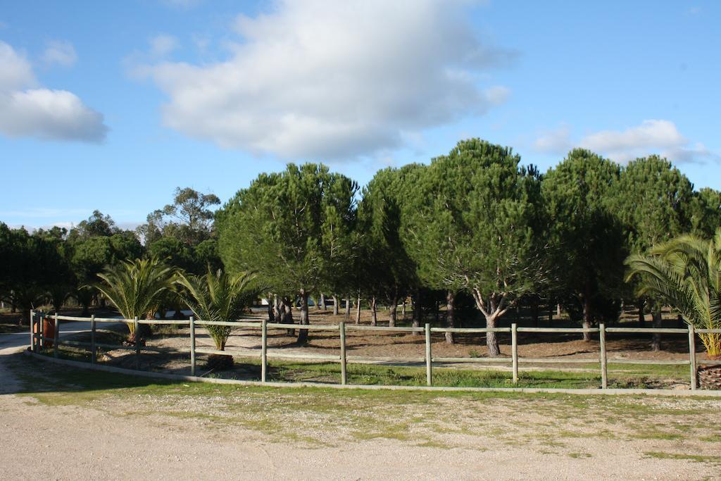 Monte Macario Alojamento Local Coruche Εξωτερικό φωτογραφία