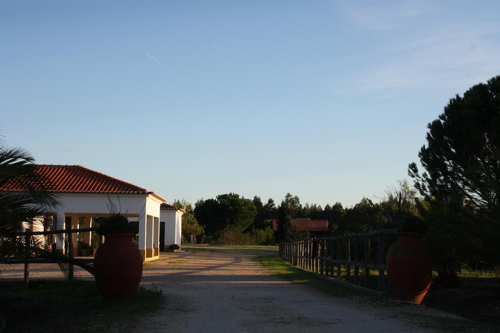 Monte Macario Alojamento Local Coruche Εξωτερικό φωτογραφία
